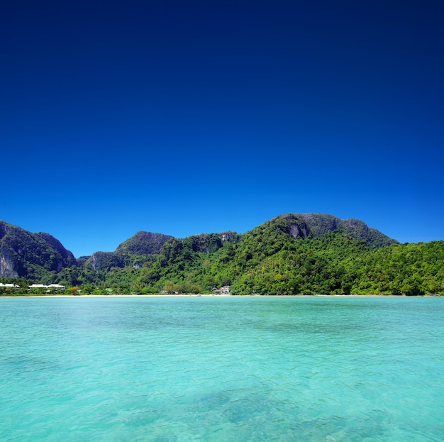 Hermosa playa y mar tropical