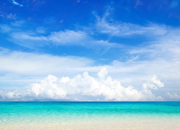 Hermosa playa y mar tropical