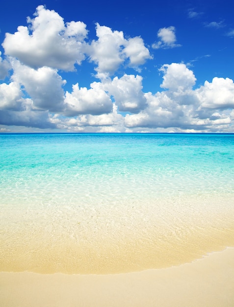 Hermosa playa y mar tropical