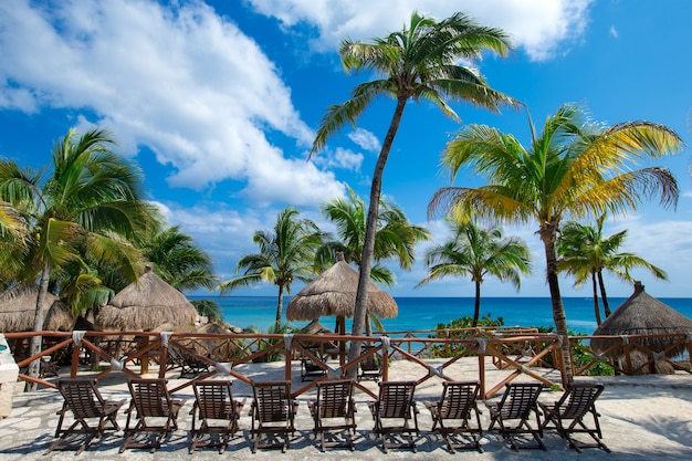 Hermosa playa y mar tropical