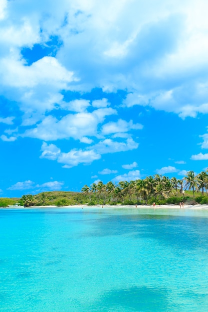 Foto hermosa playa y mar tropical