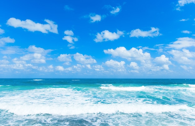 Hermosa playa y mar tropical