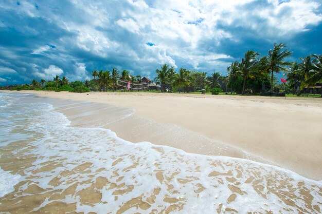 Hermosa playa y mar tropical