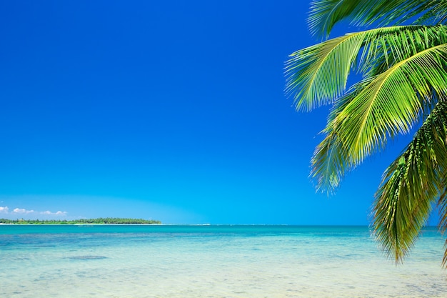 Hermosa playa y mar tropical