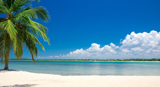 Hermosa playa y mar tropical