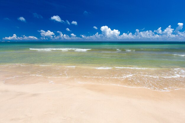 Foto hermosa playa y mar tropical