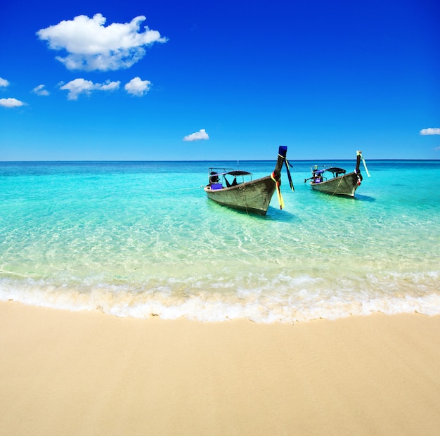 Hermosa playa y mar tropical