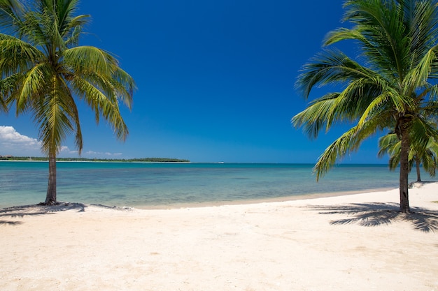 Foto hermosa playa y mar tropical