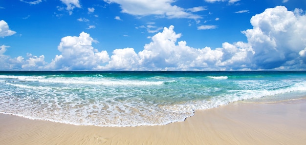 Hermosa playa y mar tropical