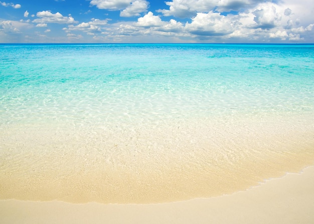 Hermosa playa y mar tropical.