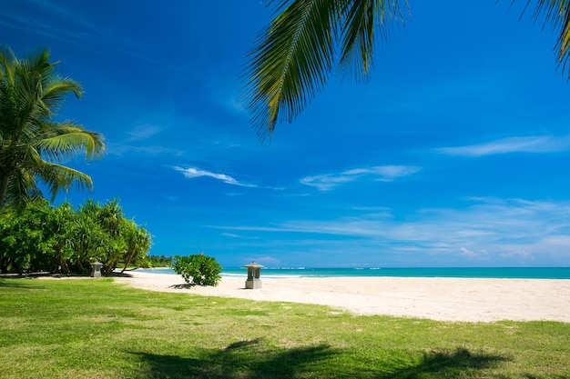 Hermosa playa y mar tropical.