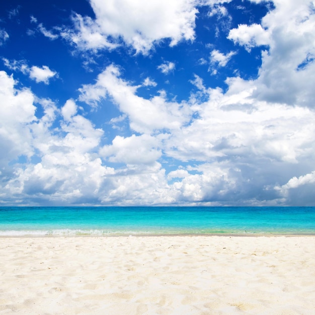 Hermosa playa y mar tropical.