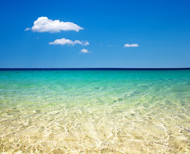 Hermosa playa y mar tropical