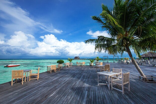 Hermosa playa y mar tropical