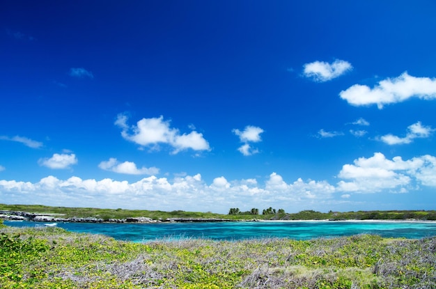 Hermosa playa y mar tropical