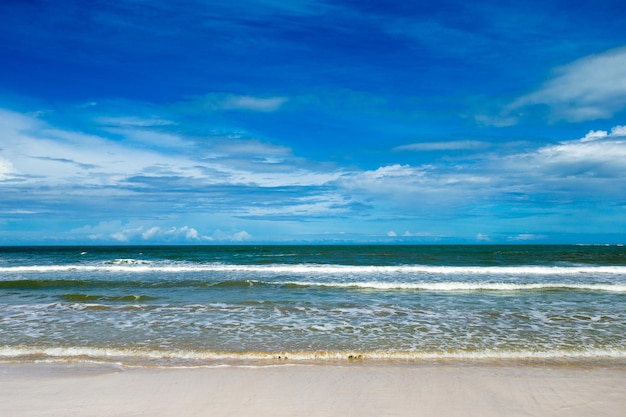 Hermosa playa y mar tropical