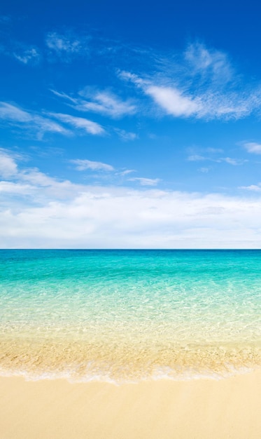 Hermosa playa y mar tropical