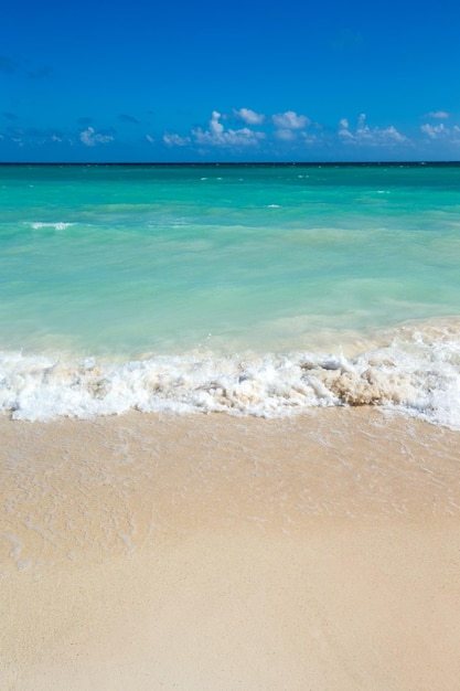 Hermosa playa y mar tropical