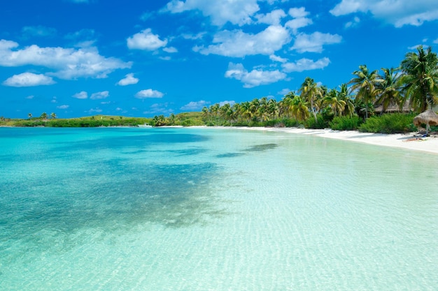 Hermosa playa y mar tropical