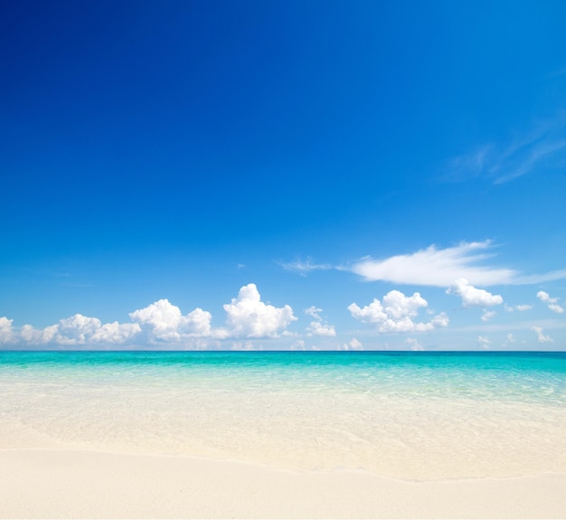 hermosa playa y mar tropical