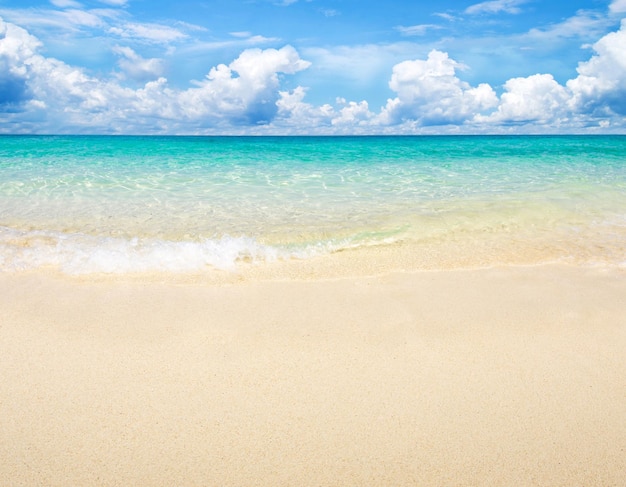 hermosa playa y mar tropical