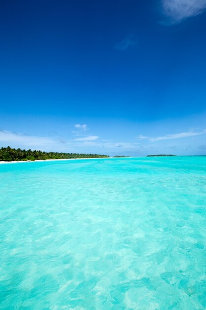 hermosa playa y mar tropical