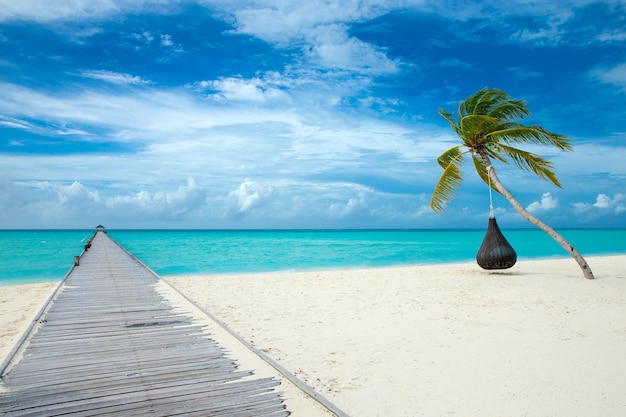 hermosa playa y mar tropical