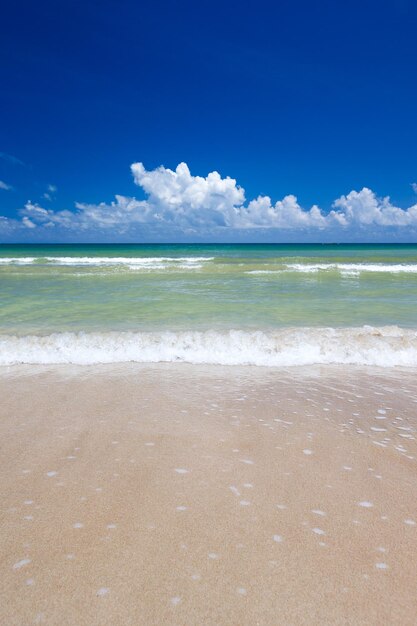 hermosa playa y mar tropical