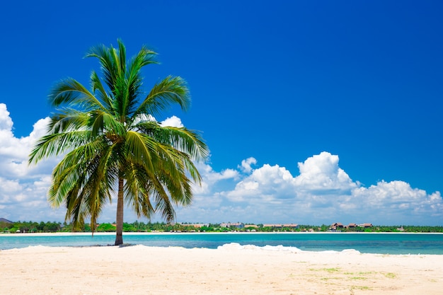 Hermosa playa y mar tropical