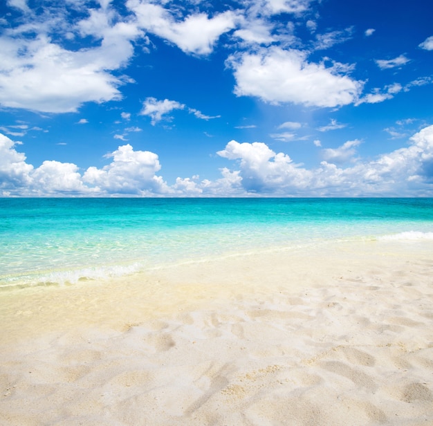 Hermosa playa y mar tropical