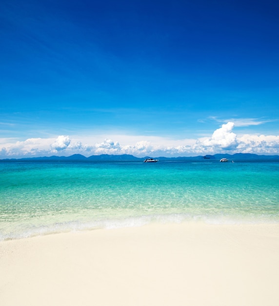 Hermosa playa y mar tropical