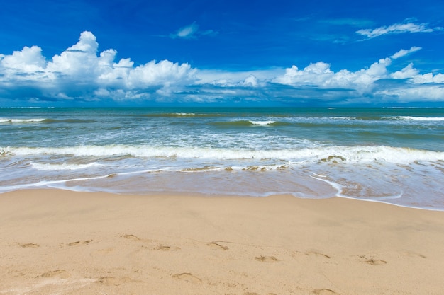 Hermosa playa y mar tropical