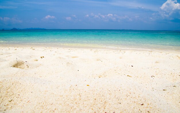 Hermosa playa y mar tropical