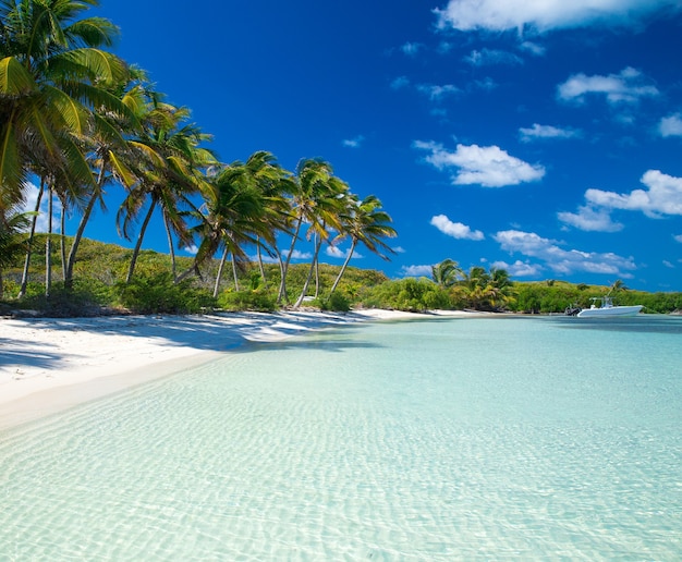 Hermosa playa y mar tropical