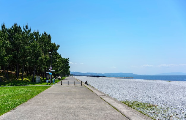 Hermosa playa de mármol artificial y pinos verdes a lo largo de la costa de la ciudad de Rinku, Osaka, Japón