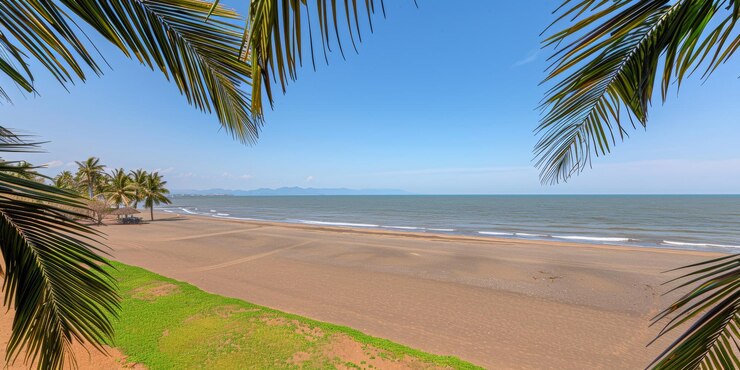 Una hermosa playa con palmeras y un cielo azul claro