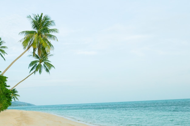 Hermosa playa con palmeras de coco.