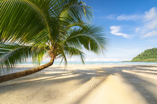 Hermosa playa tropical y mar con palmera de coco bajo cielo azul