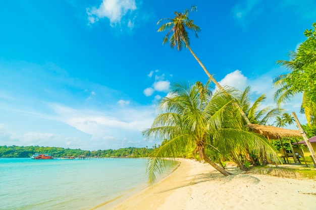 Hermosa playa tropical y mar con palmera de coco en paradise island