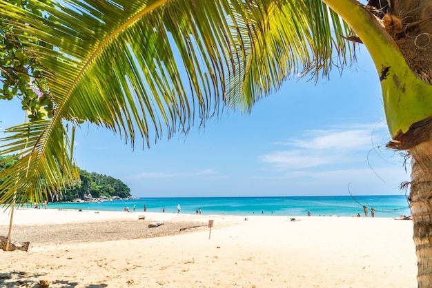 Hermosa playa tropical y mar con palmeras de coco en la isla paradisíaca
