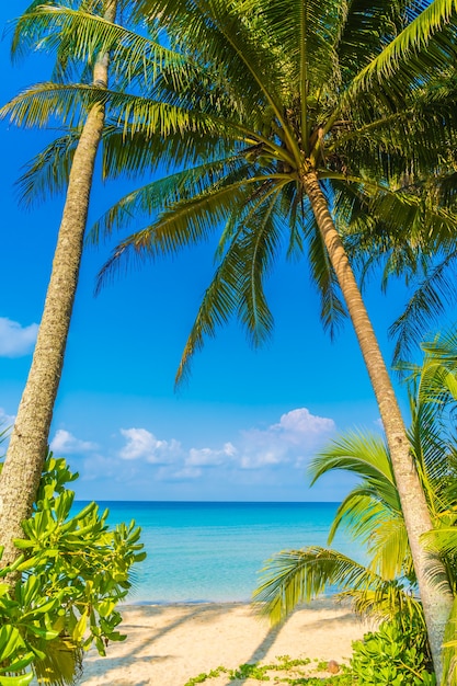 Hermosa playa tropical y mar