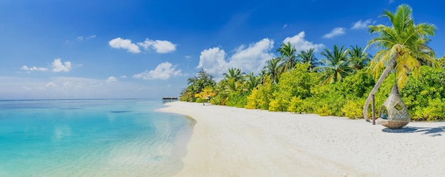 Hermosa playa tropical. Palmeras con columpio romántico y agua de mar tranquila. Impresionante panorama de playa