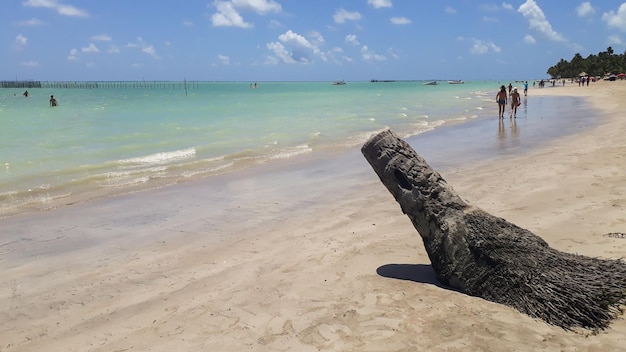 Hermosa playa turquesa en la costa brasileña en Maragogi Alagoas Brasil