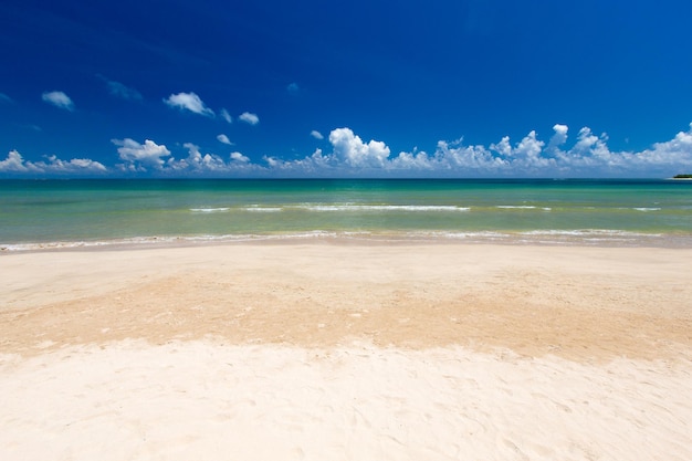 Hermosa playa. Vista de una bonita playa tropical con palmeras alrededor. Concepto de vacaciones y vacaciones.