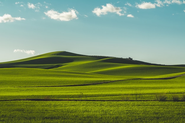 Hermosa pradera verde ubicada en Córdoba