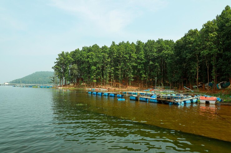 Hermosa presa de Chandil situada en Ranchi. Jharkhand