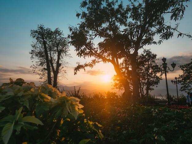 Foto hermosa puesta de sol entre árboles en el parque