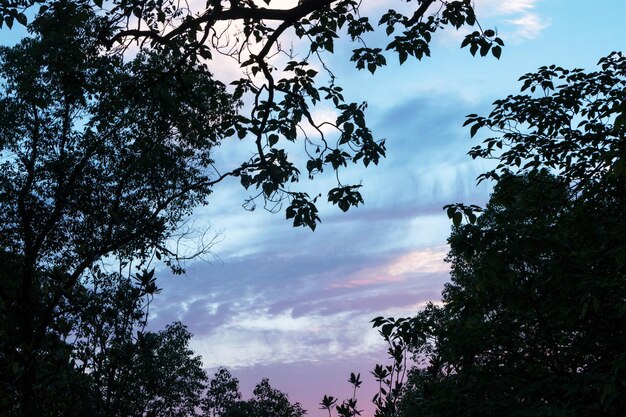 Una hermosa puesta de sol en el cielo de verano