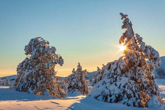 Hermosa puesta de sol en las montañas de invierno Paisaje de hadas de invierno