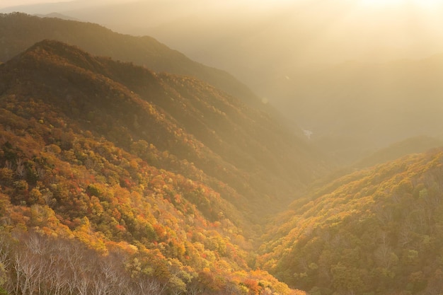 Hermosa puesta de sol en Nikko de Japón